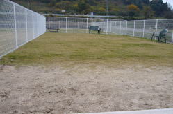 �������G���A